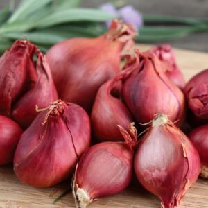 Shallots Medium Size / சின்ன வெங்காயம் மீடியம்