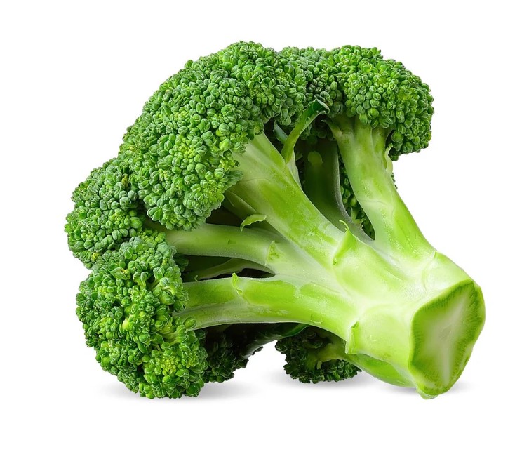 Broccoli / புரோக்கோலி