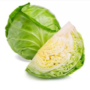 Cabbage - முட்டைக்கோசு