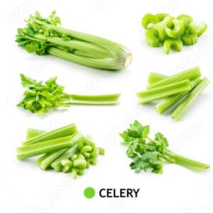 Celery – செலரி