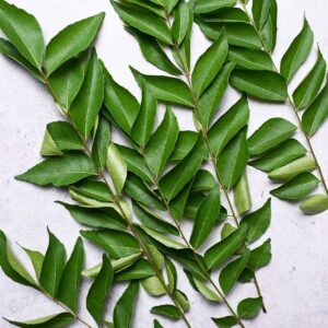 Curry Leaves / கறிவேப்பிலை