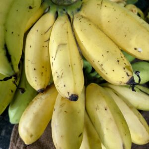 மொந்தம் வாழைப்பழம் / mondham Banana - 100% Organic