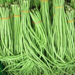 CooPany Long / Karamani Seeds /தட்டப்பயிர் (250 gms)