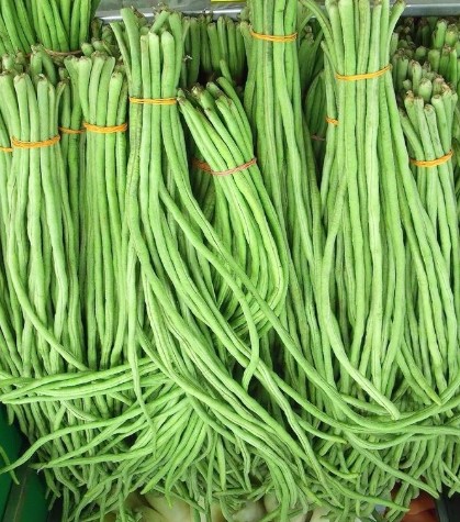 CooPany Long / Karamani Seeds /தட்டப்பயிர் (250 gms)