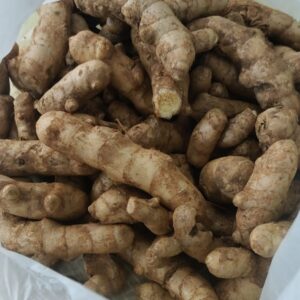 Mango Ginger / மாங்காய் இஞ்சி (250 Grams)