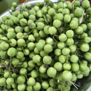 சுண்டைக்காய் / Turkey Berry (250 gms)