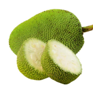 Green Raw Jack fruit / பலாக்காய் / பலா பிஞ்சு