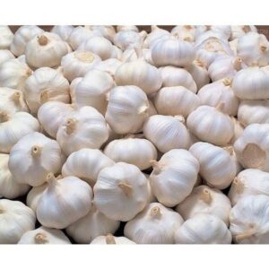 A1 Country Garlic Big - நாட்டு பூண்டு பெரியது