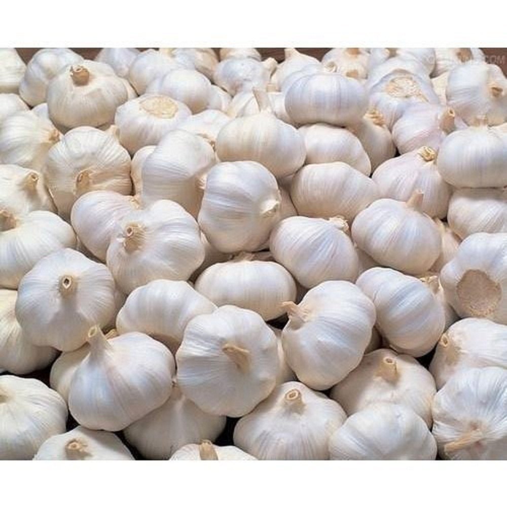 A1 Country Garlic Big - நாட்டு பூண்டு பெரியது