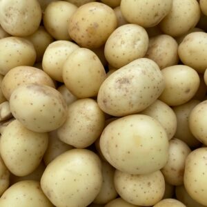 A detailed close-up view of fresh white potatoes showcasing their texture and color.