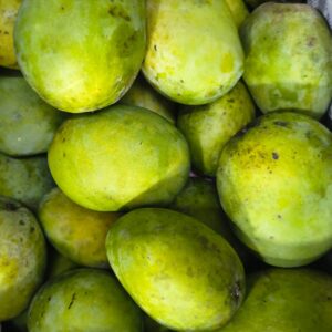 பாதிரி மாம்பழம் / Pathiri mango - 100% Organic