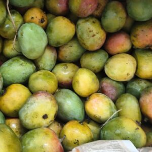 செந்தூர மாம்பழம் / Senthoora Mango-100% Organic