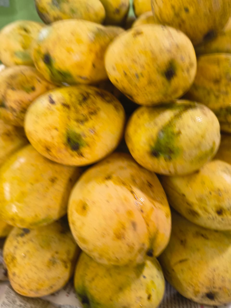 செந்தூர மாம்பழம் / Senthoora Mango-100% Organic - Image 2